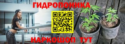 каннабис Гусь-Хрустальный
