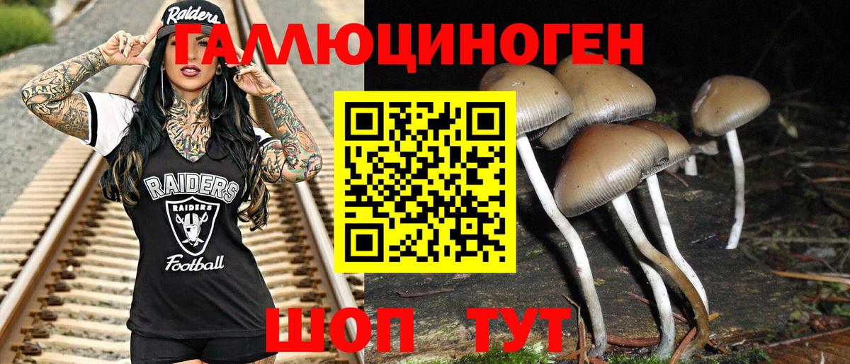 Галлюциногенные грибы мицелий  Вход с VPN  Дзержинский 